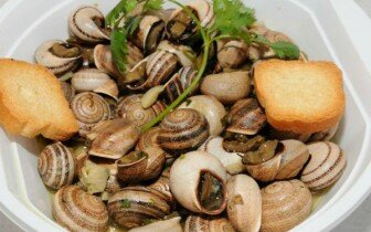 iInternational-snail-festival-/2015-07-03